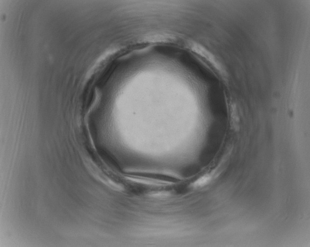 X0000071950203200607282017