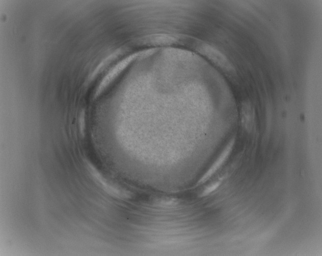 X0000071950206200607282016