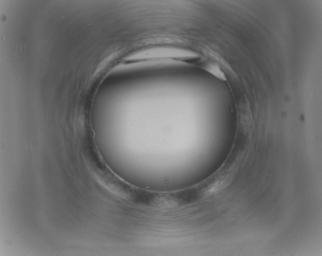 X0000071950207200607282016