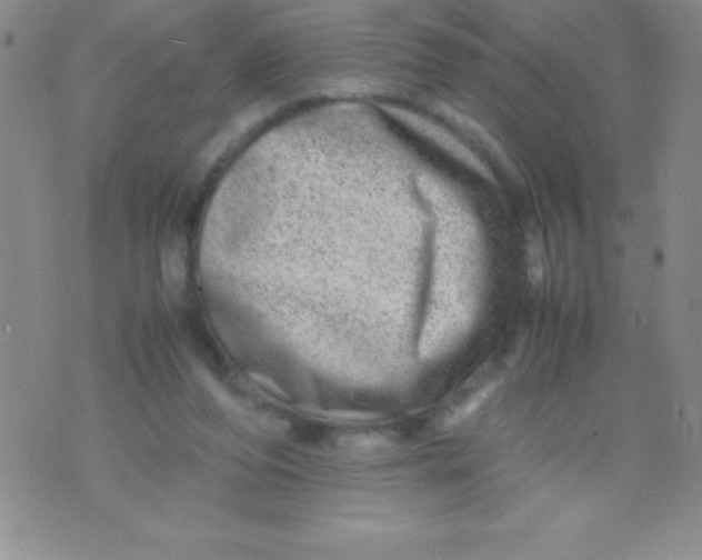 X0000071950208200607282016