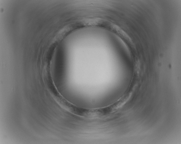 X0000071950209200607282016