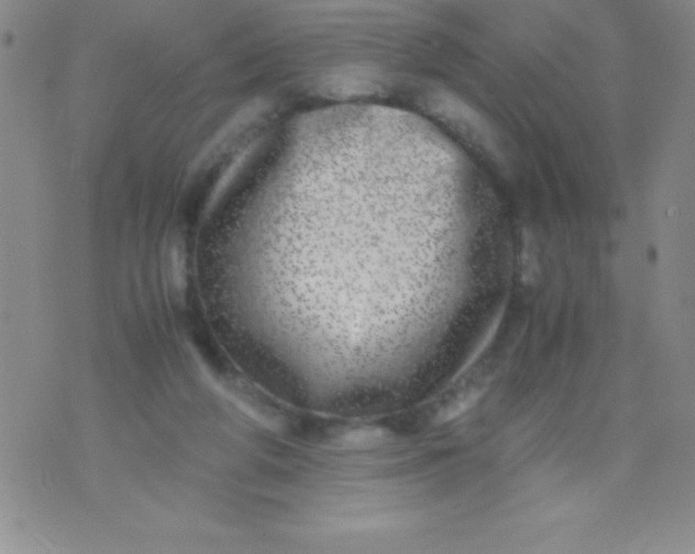 X0000071950210200607282016