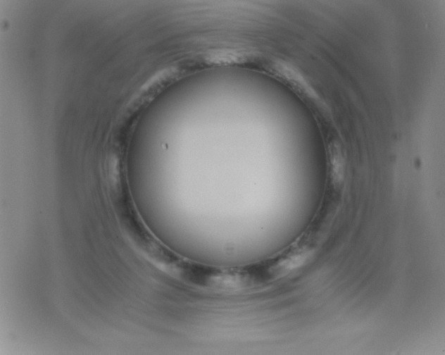 X0000071950211200607282016