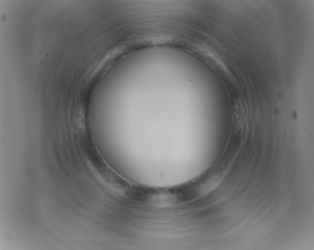 X0000071950212200607282016