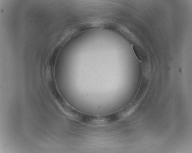 X0000071950213200607282016