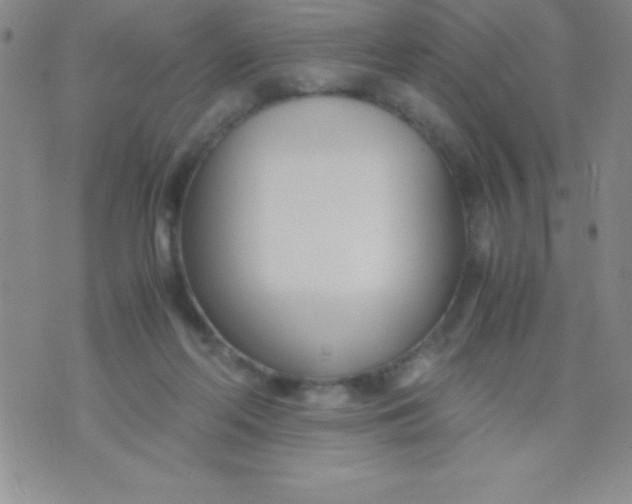 X0000071950214200607282016