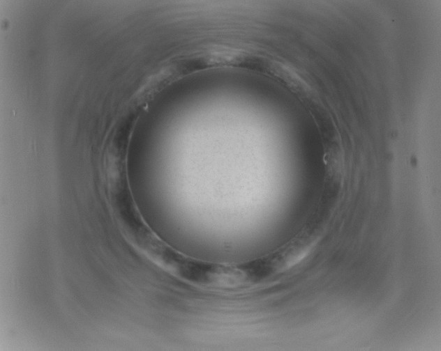 X0000071950215200607282016