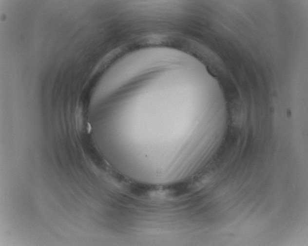 X0000071950216200607282016