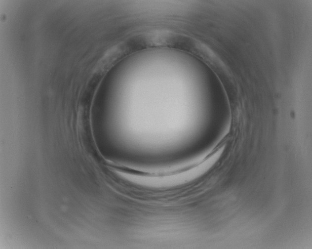 X0000071950217200607282016