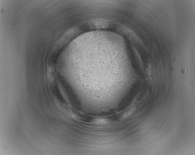 X0000071950218200607282016