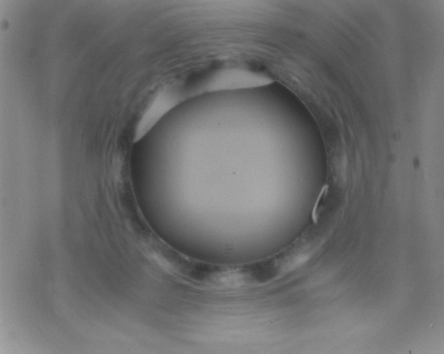 X0000071950219200607282016