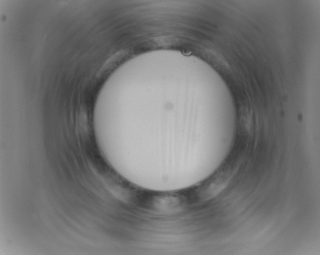 X0000071950220200607282016