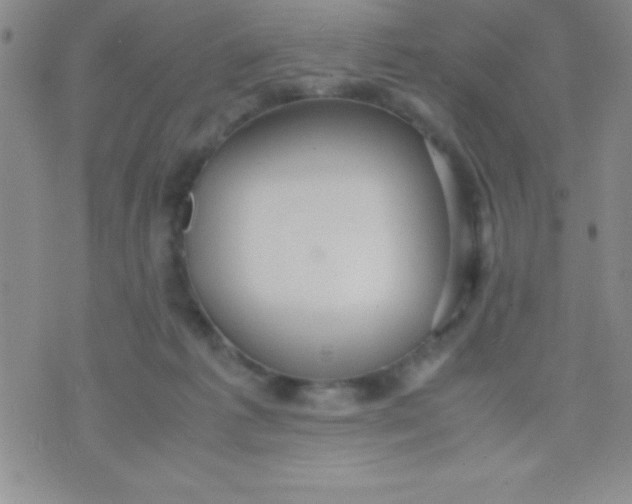 X0000071950221200607282016