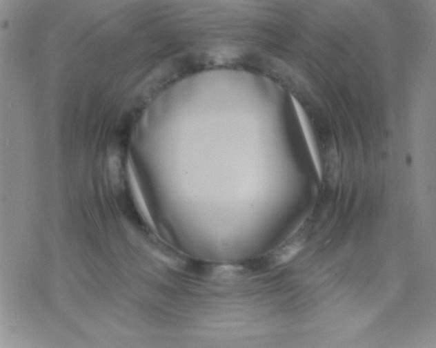 X0000071950222200607282016