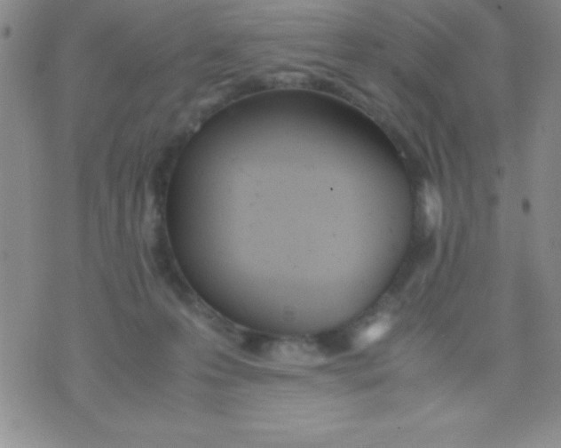 X0000071950223200607282016