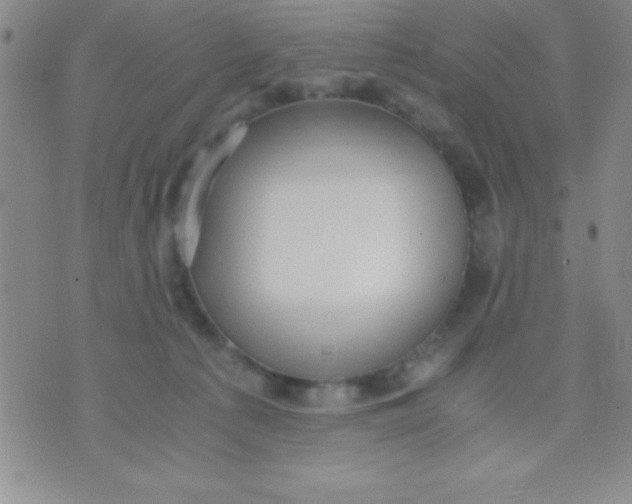 X0000071950225200607282016