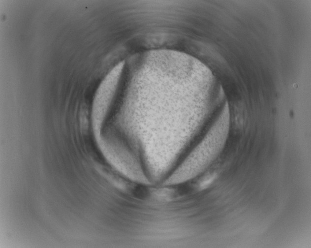 X0000071950226200607282016