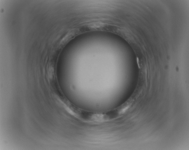 X0000071950227200607282016