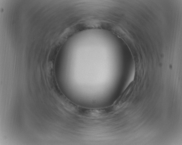 X0000071950229200607282016