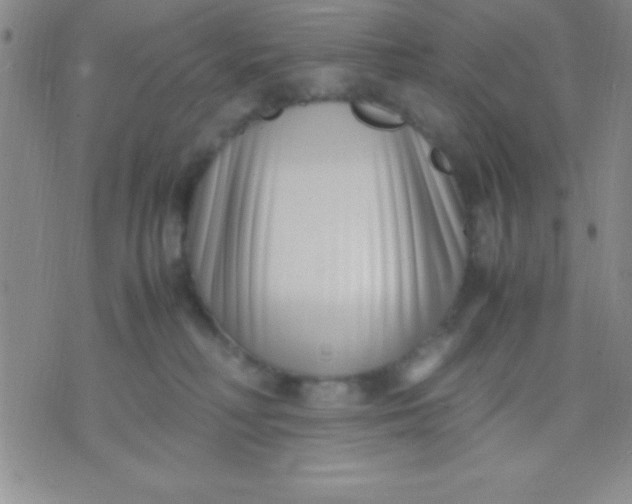 X0000071950230200607282016