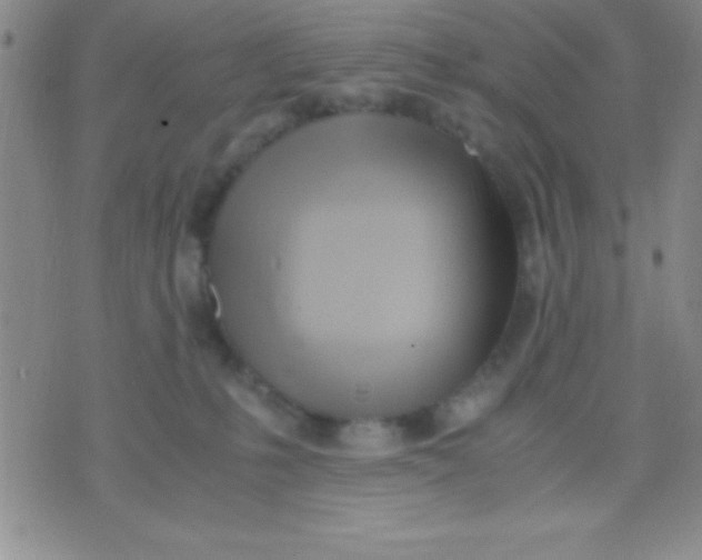 X0000071950231200607282016