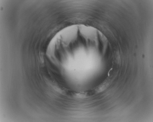 X0000071950232200607282016