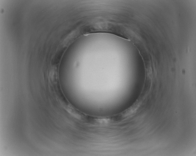 X0000071950233200607282016