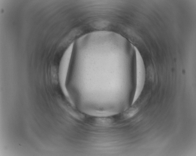 X0000071950234200607282016