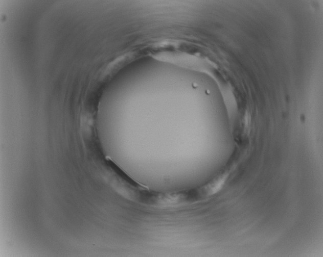 X0000071950235200607282016