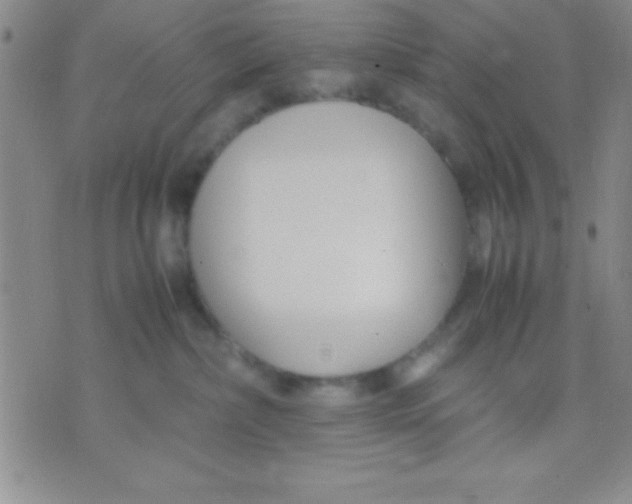 X0000071950236200607282016