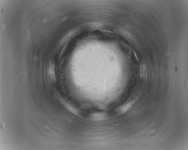 X0000071950238200607282016