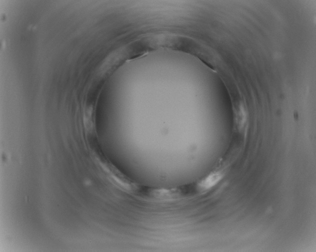 X0000071950239200607282016