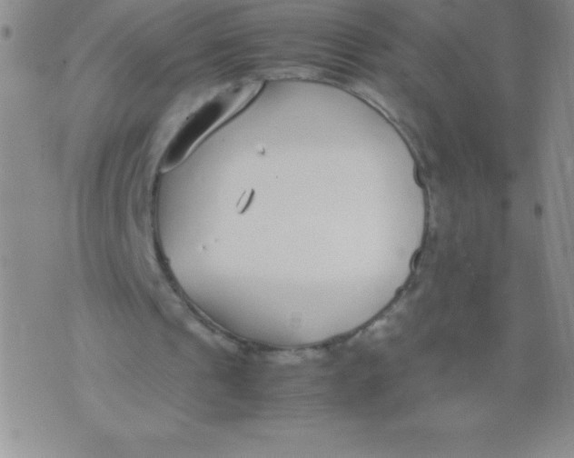 X0000071950241200607282015