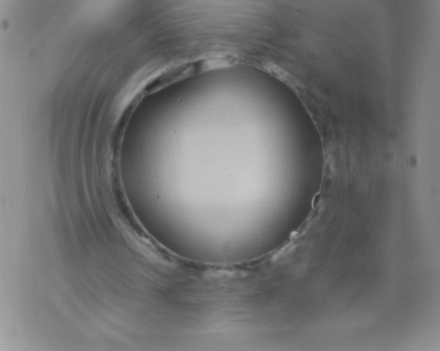 X0000071950242200607282015