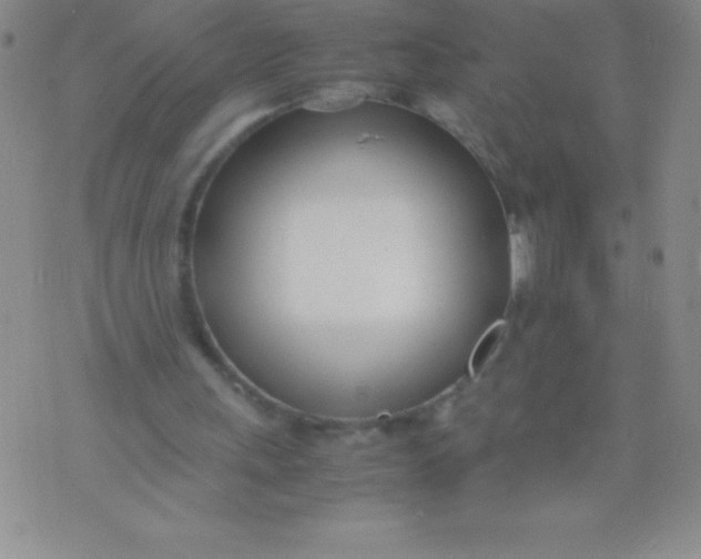 X0000071950243200607282015