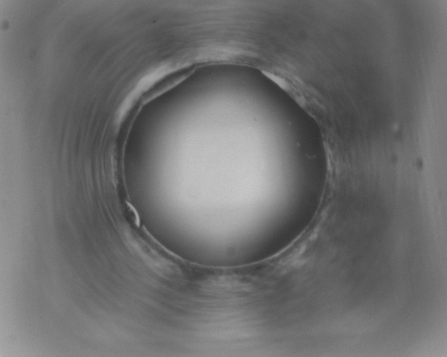 X0000071950244200607282015