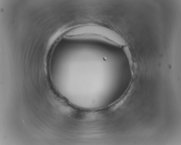 X0000071950246200607282015