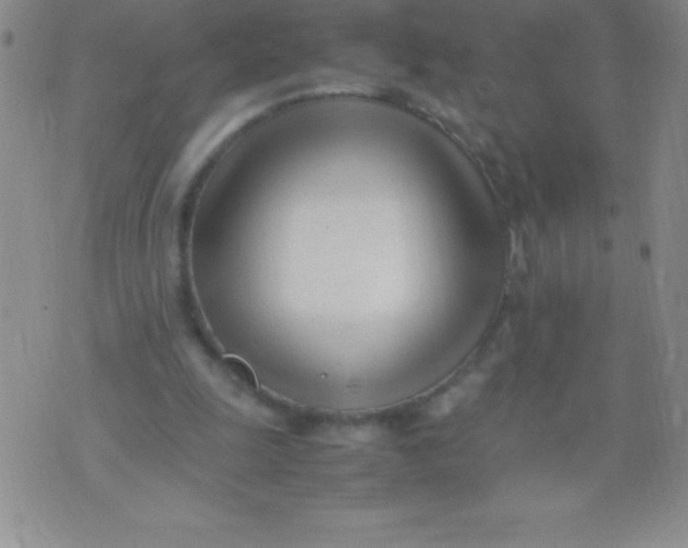 X0000071950247200607282015