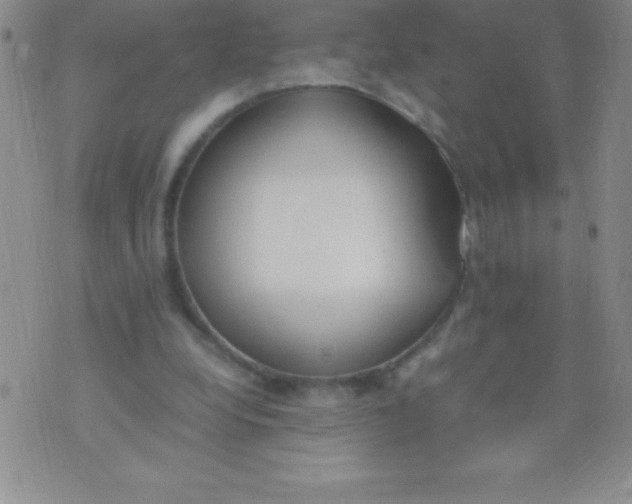 X0000071950248200607282015