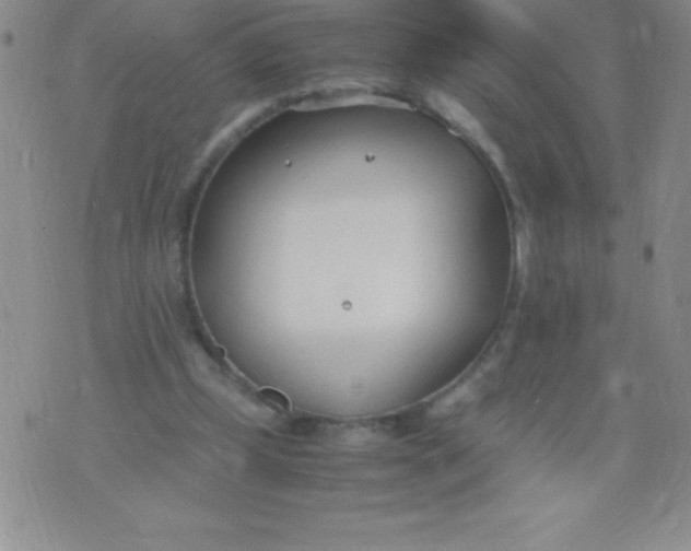 X0000071950249200607282015