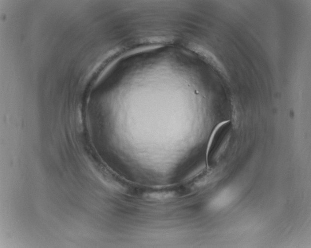 X0000071950251200607282015