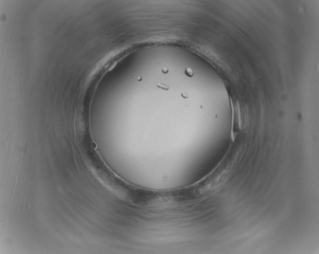 X0000071950252200607282015