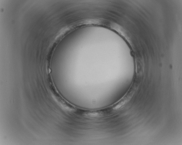 X0000071950253200607282015