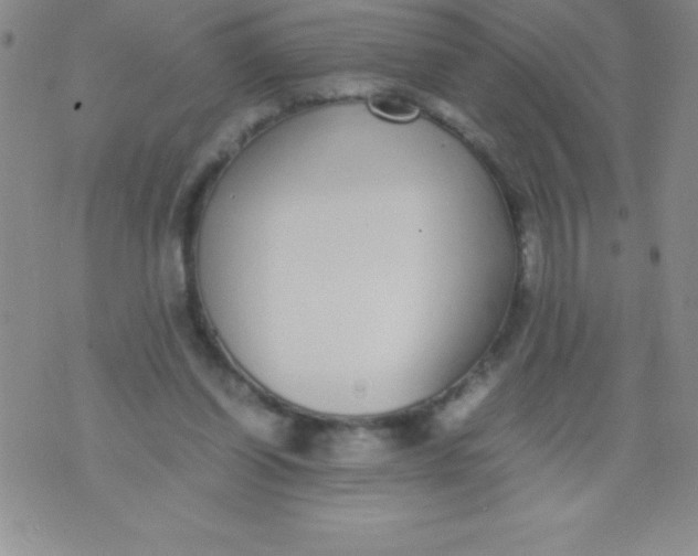 X0000071950254200607282015