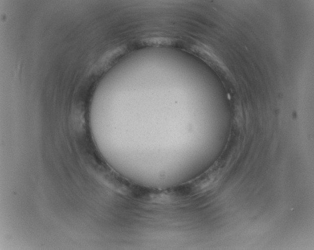 X0000071950259200607282015