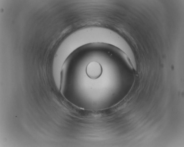 X0000071950260200607282015