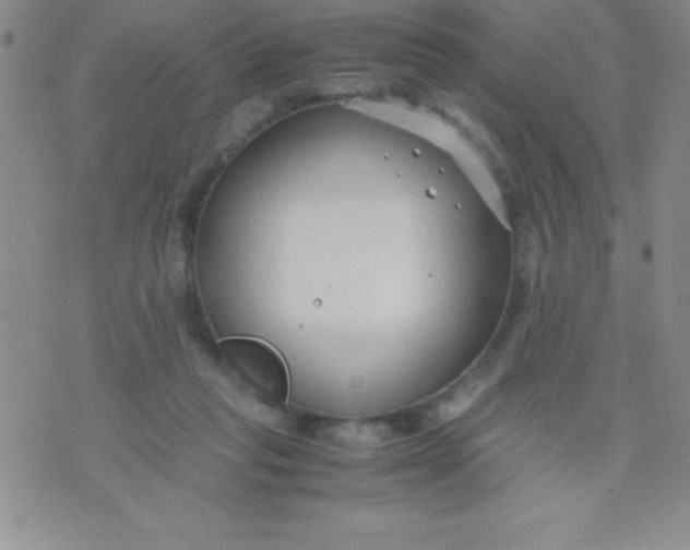 X0000071950261200607282015