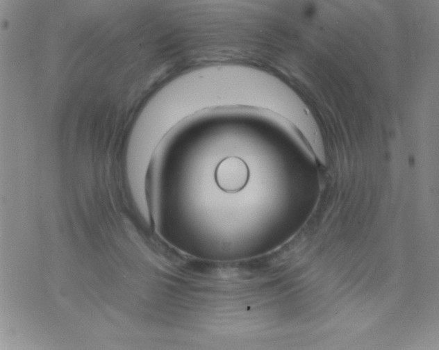 X0000071950264200607282016