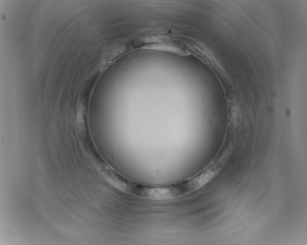 X0000071950265200607282016