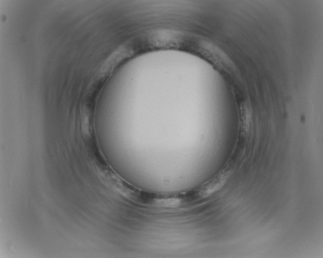 X0000071950266200607282016